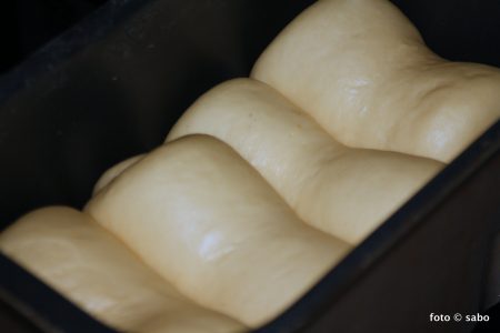 Japanisches Hokkaido Milch-Toastbrot