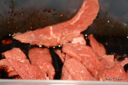 Beef Jerky aus der Dörrte (Low Carb, Dörrautomat)