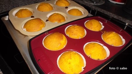 Brazilian Carrot Cake Cupcakes (Brasilianische Karottenkuchen Muffins) - Blender-Rezept