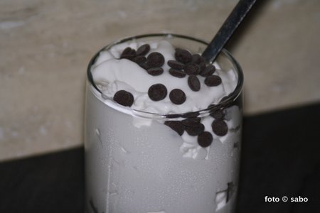 Einfache Kokos-Eiscreme (Low Carb / vegan)