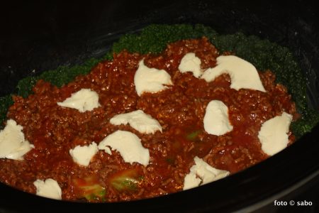 Wirsing-Lasagne aus dem Crocky (Low Carb)