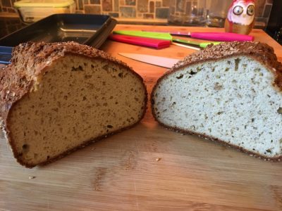 kartoffelfaserbot_anschnitt