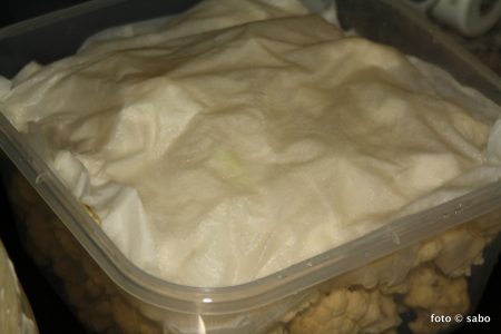 Blumenkohlsalat nach Kartoffelsalat-Art (Low Carb / Keto)